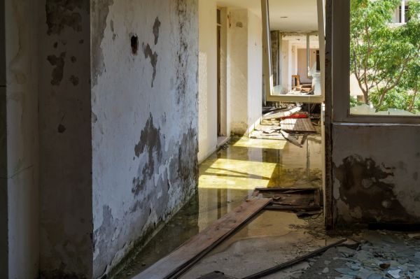 Cost of Water Removal Service in Jersey City