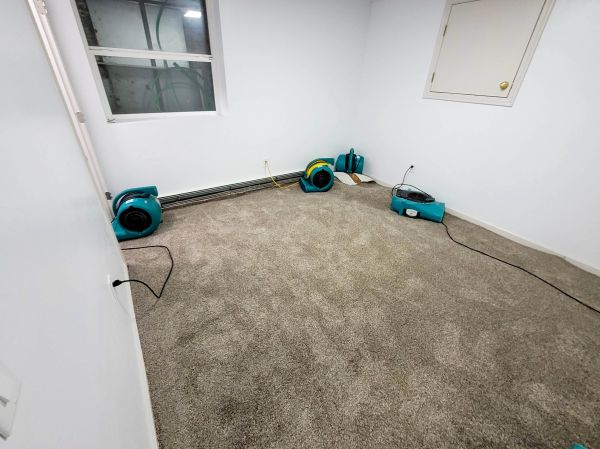 Flood Restoration Service in Jersey City