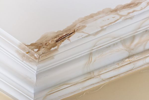 Water Damage Recovery in Jersey City